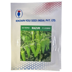 Known You MAZUM F1 Hybrid Hot Pepper Seeds – 10g | High‑Yield Green Chili Variety