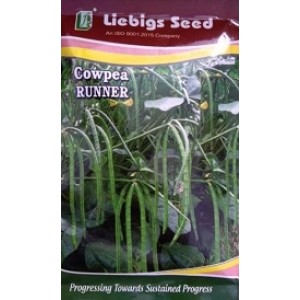 Liebigs Cowpea RUNNER Commercial Agriculture Seeds