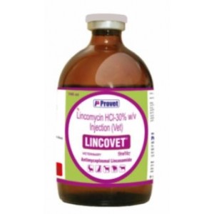 Provet Pharma LINCOVET Antibacterial Injection