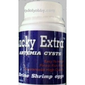 Lucky Artemia Cysts