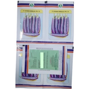 Sungro Seeds F1 PPL 74 Hybrid Brinjal Seeds – 50g Pack of High-Yield Eggplant Variety