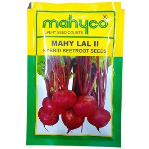Mahyco Mahy Lal II Hybrid Beetroot Seeds – Deep Red Roots, High Yield & Early Maturity | 50g Pack