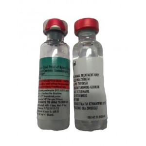 MSD Animal Health Chorulon