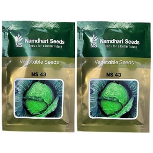 Namdhari NS 43 F1 Hybrid Cabbage Seeds | High‑Yield Green Cabbage Variety (4000 Seeds Pack)