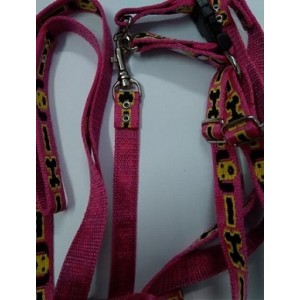 Nylon Dog Collar And Leash Set 