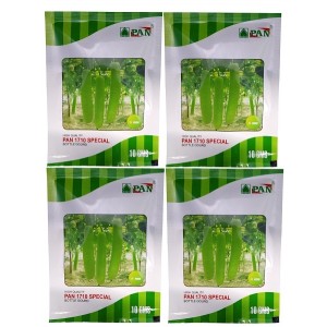 Pan 1710 Special Bottle Gourd F1 Hybrid Seeds