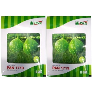 Pan 1719 Bottle Gourd F1 Hybrid Seeds