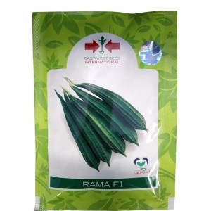 East West Rama F1 Ridge Gourd Hybrid Seeds