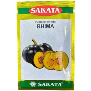 Sakata BHIMA Hybrid Pumpkin Seeds – High‑Yield Pumpkin Variety (40g)