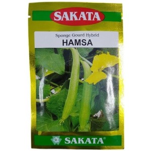 Sakata Hamsa Hybrid Sponge Gourd Seeds – High Yield, Uniform Fruits, Tropical Climate Performer | 40g Pack