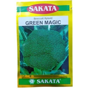 Sakata Japan Green Magic Hybrid Broccoli Seeds – Premium F1 Variety for Summer-to-Fall Cultivation