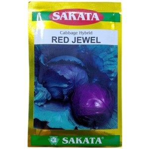 Sakata Japan Red Jewel Hybrid Cabbage Seeds – Premium F1 Red Cabbage Variety