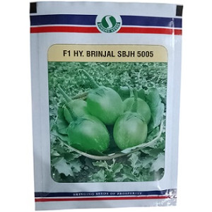 Sungro Seeds F1 SBJH 5005 – Hybrid Brinjal (Eggplant) Seeds, Premium Quality (20 gm Pack)