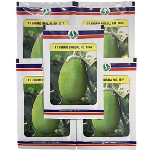 Sungro Seeds F1 No 1014 Hybrid Brinjal Seeds – 50g | High‑Yield Green Variety