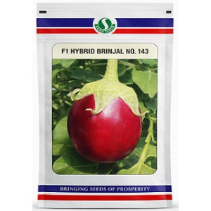 Sungro Seeds F1 No 143 Hybrid Brinjal Seeds – 50g | High‑Yield Round Variety