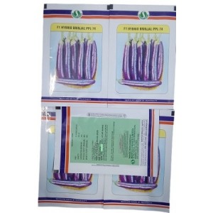 Sungro Seeds F1 PPL 74 Hybrid Brinjal Seeds