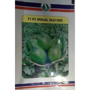 Sungro Seeds F1 SBJH 5005 Hybrid Brinjal Seeds