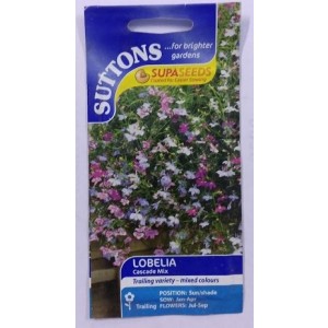 SUTTONS England Lobelia Cascade Mix