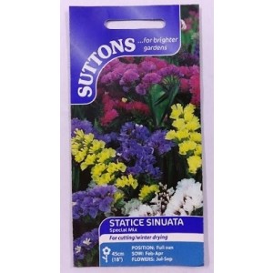 SUTTONS England Statice Sinuata Special mix