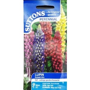 Suttons Lupin Perennial Seeds 