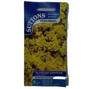 Suttons UK Alyssum Saxatile Golden Queen Seeds 