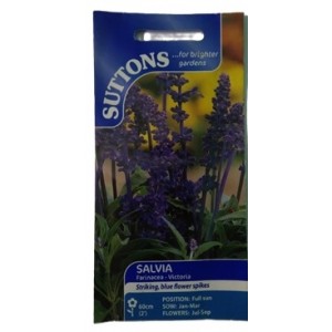 Suttons UK Salvia Farinacea Victoria Seeds 