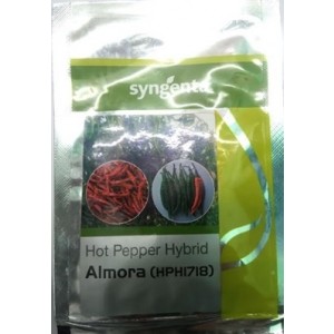Syngenta ALMORA HPH 1718 Hot Pepper Hybrid Seeds