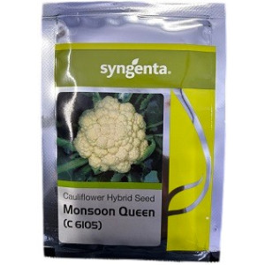 Syngenta C6105 Monsoon Queen Hybrid Cauliflower Seed – Creamy White Curd with Uniform Maturity for All-Season Farming (8.9 gm / 44.5 gm Packs)
