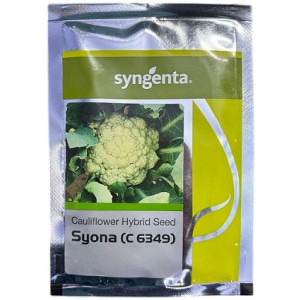 Syngenta C6349 Syona Hybrid Cauliflower Seeds – High Yield & Disease Resistant Variety (10g/ 2000 Seeds Pack)