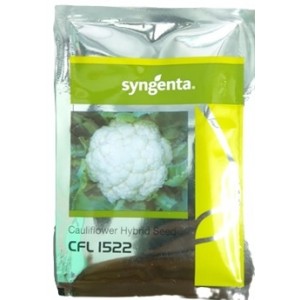 Syngenta CFL1522 Hybrid Cauliflower Seed