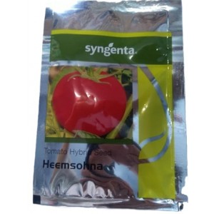 Syngenta Heemsohna Hybrid Tomato Seed