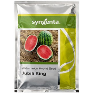 Syngenta Jubili King Watermelon Hybrid Seeds – 1000 Seeds Pack | High‑Yield Red Flesh Variety