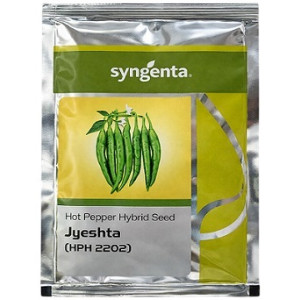 Syngenta Jyeshta HPH 2202 Hybrid Hot Pepper Seeds – 1500 Seeds Pack | High‑Yield Spicy Red Pepper Variety