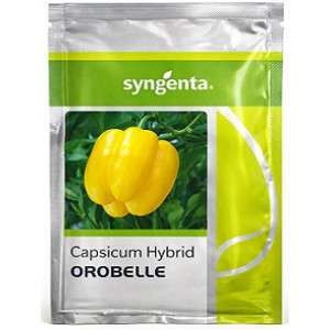 Syngenta Orobelle Hybrid Capsicum Seeds – 1000 Seeds Pack | High‑Yield Yellow Bell Pepper Variety