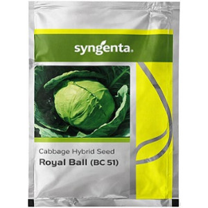 Syngenta Royal Ball BC 51 Hybrid Cabbage Seeds – 2000 Seeds Pack | High‑Yield Green Cabbage Variety