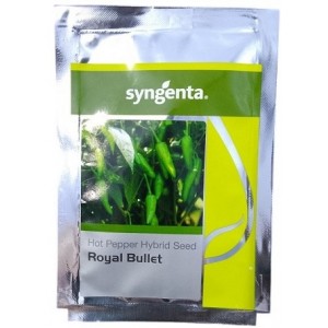 Syngenta Royal Bullet Hot Pepper Hybrid Seeds – Early Maturity, High Pungency, Export-Grade Yield | 9.1g Pack