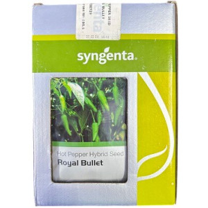 Syngenta Royal Bullet Hot Pepper Hybrid Seeds – Early Maturity, High Pungency, Export-Grade Yield | 9.7g Pack