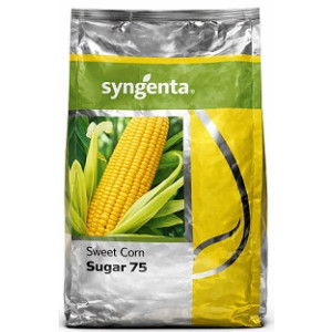 Syngenta Sugar 75 Sweet Corn Seeds – 1kg | High‑Yield Golden Sweetcorn Variety