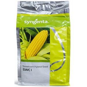 Syngenta SWC 1 Hybrid Sweetcorn Seeds – 1kg | High‑Yield Golden Sweetcorn Variety