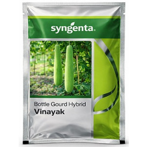 Syngenta Vinayak Hybrid Bottle Gourd Seeds – 50g | High‑Yield Green Variety