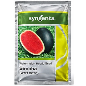 Syngenta WMT 8630 Simbha Hybrid Watermelon Seed – 1000 Seeds | High‑Yield Red Flesh Variety