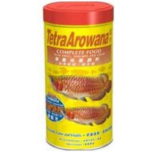 Tetra Arowana 