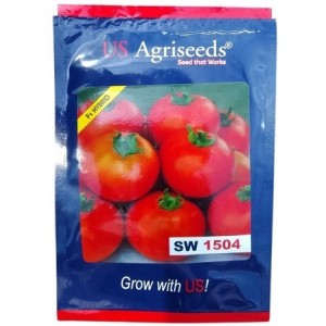 US Agriseeds SW 1504 Hybrid Tomato Seeds – Indeterminate, High-Yield, Early Blight Tolerant | 10g Pack