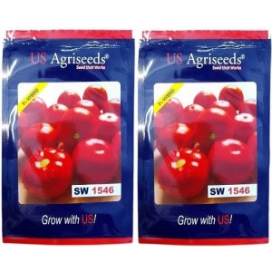US Agriseeds SW 1546 Hybrid Tomato Seeds – Indeterminate, High-Yield, Disease-Resistant | 10g Pack