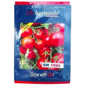 US Agriseeds SW 1595 Hybrid Tomato Seeds – High-Yield, Early Maturing Indeterminate Variety | 10g Pack
