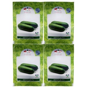 East West Benyue F1 Wax Gourd Hybrid Seeds