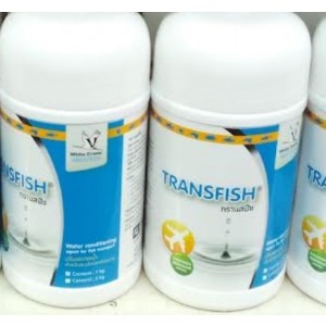 White Crane Transfish Bulk Pack 1000gm