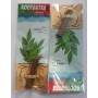 ADA Rootsutra Bottom PLUS – 4-Pack Root Booster for Substrate-Driven Plant Growth