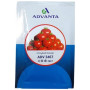 Advanta 3467 F1 Hybrid Tomato Seeds – Compact Determinate Plants, High Yield & Disease Tolerance | 8g Pack