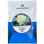 Advanta AABIRA F1 Hybrid Cauliflower Seeds – High‑Yield, Early Maturity Variety (10g)